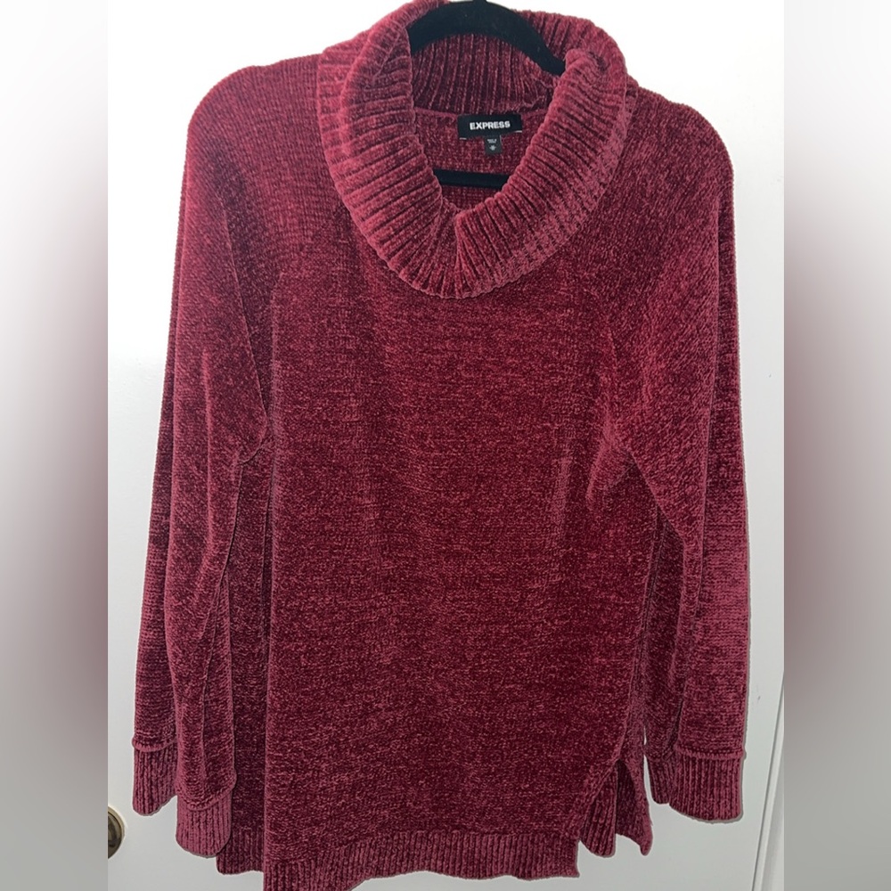 Express turtle neck sweater